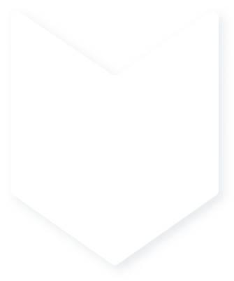 ikona